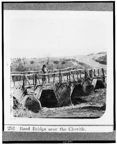 Исторически находки Снимка: Тръстика мост, река Черит, Южна-Централна Палестина, Пешеходен мост, 1900-1934