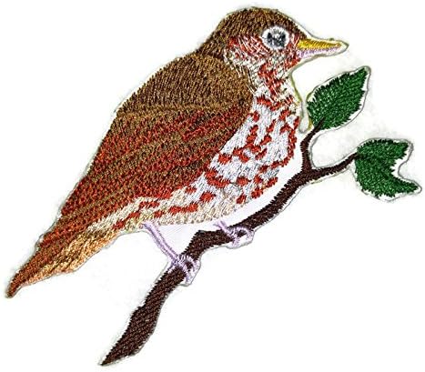 Природа, изтъкана от нишки, Царството на невероятни птици [Single дървесна птица-дрозд] [Индивидуална и уникална]